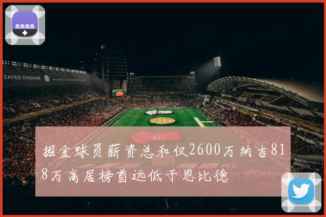 掘金球员薪资总和仅2600万纳吉818万高居榜首远低于恩比德